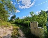 Krucza blisko Złotej, wz, lokalizacja, media | Zdjęcie 9