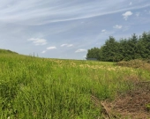 Działka budowlana w miejscowości Siedliska | Zdjęcie 10