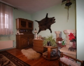 5pok, 103met, Okolice Kromera ROZKŁAD/PIWNICA/OGRÓD (Wrocław) | Zdjęcie 4