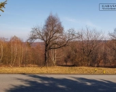 Działka budowlano-rolna w Dąbrówce Szczepanowskiej | Zdjęcie 8