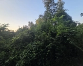 Piękna okolica, MPZP, woda i prąd | Zdjęcie 8