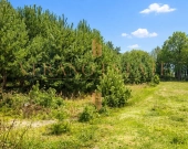 Atrakcyjna działka budowlana 3600 m² - Groszowice | Zdjęcie 3