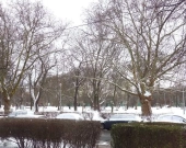 2pok, 23met, Okolice Iwana Pawłowa PO REMONCIE (Wrocław) | Zdjęcie 3