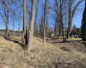 Parkowe, pozwolenie na budowę, media, drzewa | Zdjęcie 5