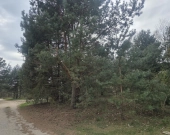 Złota, wz 5 domów jedno lub dwulokalowych, media | Zdjęcie 6