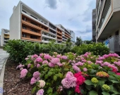 Apartament 5 pokoi, loggia, taras | Zdjęcie 6