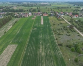 ###  Działki z warunkami zabudowy ### | Zdjęcie 5