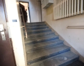 2pok, 39met, okolice Ogrodu Botaniczego PIWNICA/WINDA (Wrocław) | Zdjęcie 10