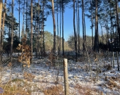 Działka róg Wolęcińskiej/Marty, Warszawa Radość | Zdjęcie 9