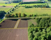 Duża działka budowlana z własnym lasem – 7012 m² | Zdjęcie 5