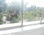 3pok, 47met, Okolice Glinianej BALKON/PIWNICA (Wrocław) | Zdjęcie 4