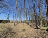 Parkowe, pozwolenie na budowę, media, drzewa | Zdjęcie 6