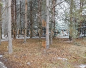 Atrakcyjna działka budowlana 3600 m² - Groszowice | Zdjęcie 4