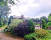 Działka inwestycyjna 4800 m2 z domem BEZ PROWIZJI | Zdjęcie 3