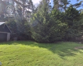 Siedlisko z domem i lasem, Gajowniki | Zdjęcie 6