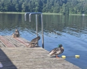 Działka nad jeziorem Ruda Woda- Wilamowo. | Zdjęcie 4