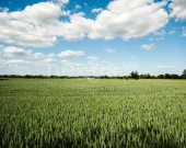 Teren inw. logistyka, produkcja - okazja! | Zdjęcie 1