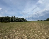 Przestrzeń i spokój - 3 hektary oazy dla Ciebie | Zdjęcie 3