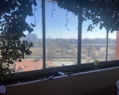 2pok 50met, Okolice Horbaczewskiego BALKON/PIWNICA (Wrocław) | Zdjęcie 7