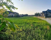 Działka budowlana w Pogórskiej Woli, gmina Skrzysz | Zdjęcie 5