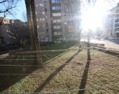 2pok, 39met, okolice Ogrodu Botaniczego PIWNICA/WINDA (Wrocław) | Zdjęcie 11