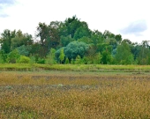 Działki rolne na sprzedaż w obrębie Gałowa | Zdjęcie 4