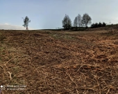 Działka rolno-budowlana (5600m2) ul. Leśna MEDIA (Tuchów) | Zdjęcie 4