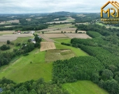 Działka leśna w gminie Ryglice | Zdjęcie 9