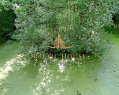 Działka budowlana Spokojna okolica Donimierz | Zdjęcie 5