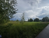 Przestrzeń i spokój - 3 hektary oazy dla Ciebie | Zdjęcie 6