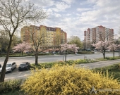 Szczepin, Zachodnia | 3 pokoje | blisko centrum | Zdjęcie 4