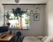 2pok, 47met, okolice Placu Grunwaldzkiego BALKON/WINDA (Wrocław) | Zdjęcie 3