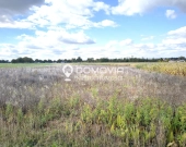 3 atrakcyjne działki budowlane – Płoskie Zamość | Zdjęcie 5