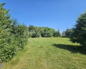 Krzeczyn - działka otoczona zielenią | Zdjęcie 4