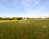 Kameralne działki budowlane w Kłodawie, 17-25 ar | Zdjęcie 6