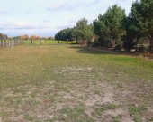 1679m.kw.- 87zł/m.kw. | Zdjęcie 1