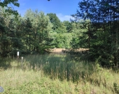 1,4 ha ziemi, dom Młyński -  Piękne tereny ! | Zdjęcie 5