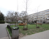 2pok, 35met, okolice Jodłowej PEŁEN ROZKŁAD/PIWNICA (Wrocław) | Zdjęcie 13