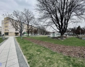 Niski czynsz | Piwnica | Parking | Park Piszczele | Zdjęcie 7