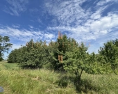 Działka rolna 3,5 ha | Dojazd asfaltowy | Zdjęcie 3