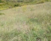 ŚWIETNA INWESTYCJA | Zdjęcie 3