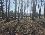 Parkowe, pozwolenie na budowę, media, drzewa | Zdjęcie 8