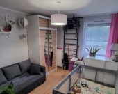 3pok 62met, Okolice Kurlandzkiej OGRÓD/KOMÓRKA/2MP (Wrocław) | Zdjęcie 2