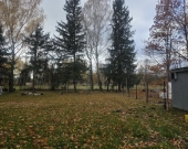 nieduża przy Klonowej, media, drzewa, lokalizacja | Zdjęcie 4