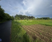 Przestrzeń i spokój - 3 hektary oazy dla Ciebie | Zdjęcie 7