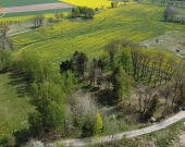 duża działka w Nowych Bielicach | Zdjęcie 7