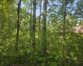 na końcu zamkniętej uliczki, za działką las, wz | Zdjęcie 6