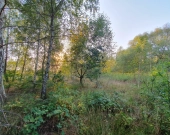 wz, lokalizacja, możliwość dokupienia działek obok | Zdjęcie 8