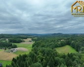 Działka leśna w gminie Ryglice | Zdjęcie 5