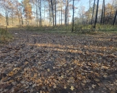 pod produkcję, magazyny lub usługi | Zdjęcie 1